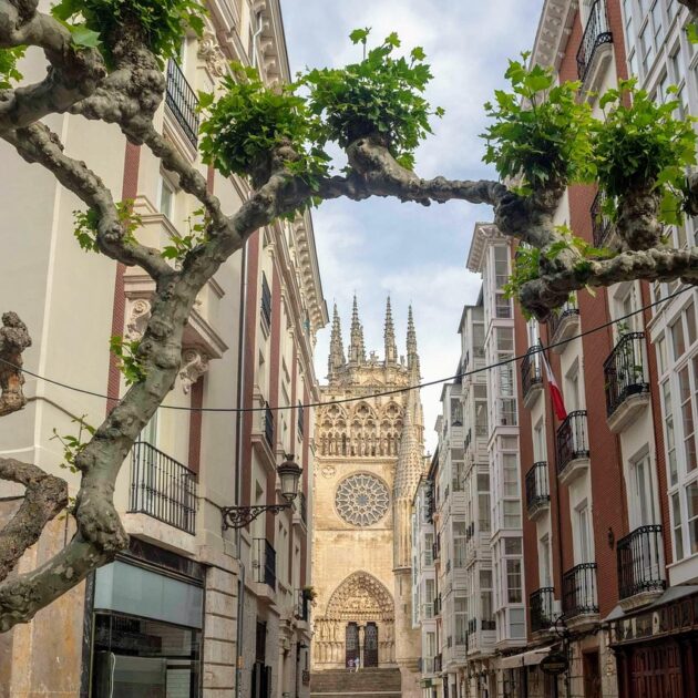 cathedral, town, travel, europe, tourism, burgos, spain, europe, spain, spain, spain, spain, spain-7278228.jpg