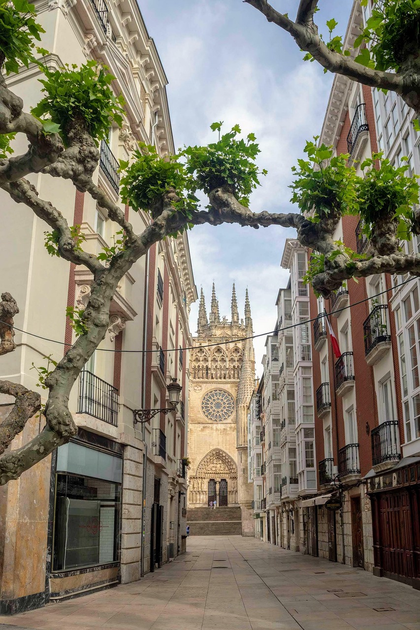 cathedral, town, travel, europe, tourism, burgos, spain, europe, spain, spain, spain, spain, spain-7278228.jpg
