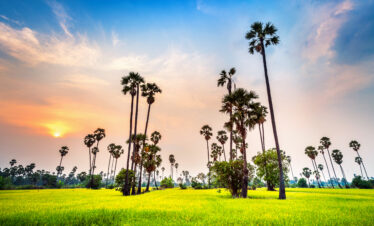 Mesmerising Keral