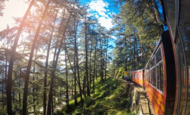 Shimla