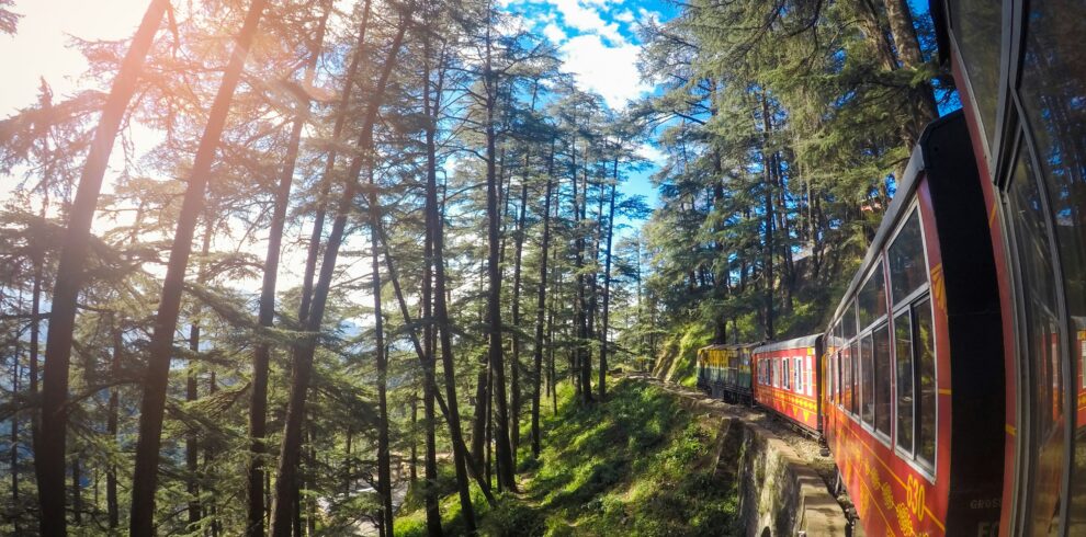 Shimla