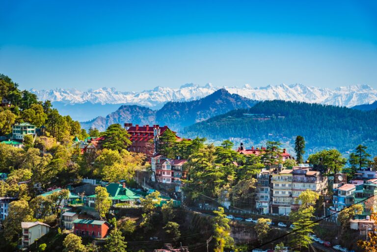 Top travel agency in shimla