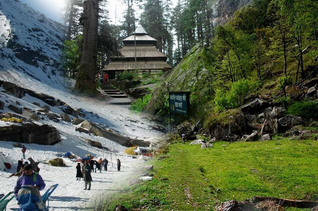 best travel agency for shimla manali