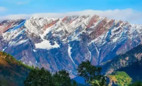 Best Travel Agents in Shimla