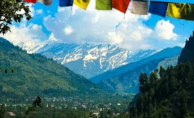 Top travel agency in shimla