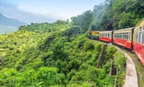 best travel agency in shimla