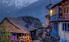 best travel agents in shimla