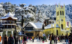 shimla tour cost