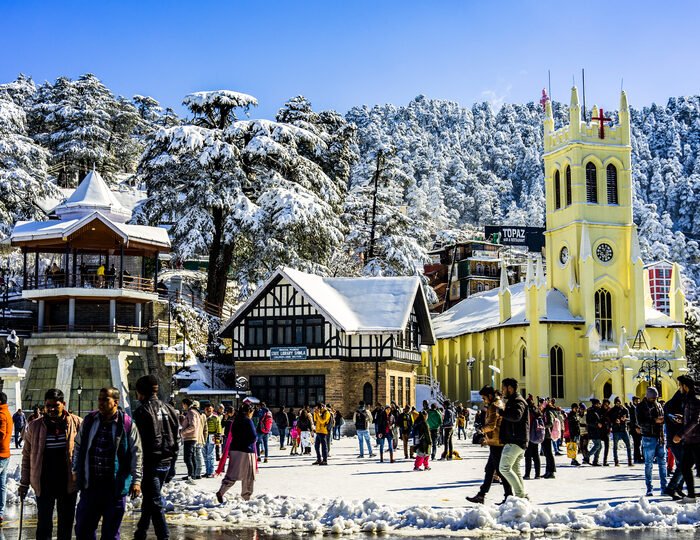 shimla tour cost