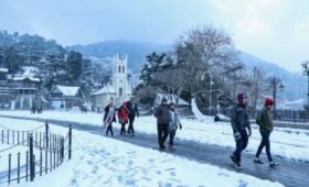shimla tour package