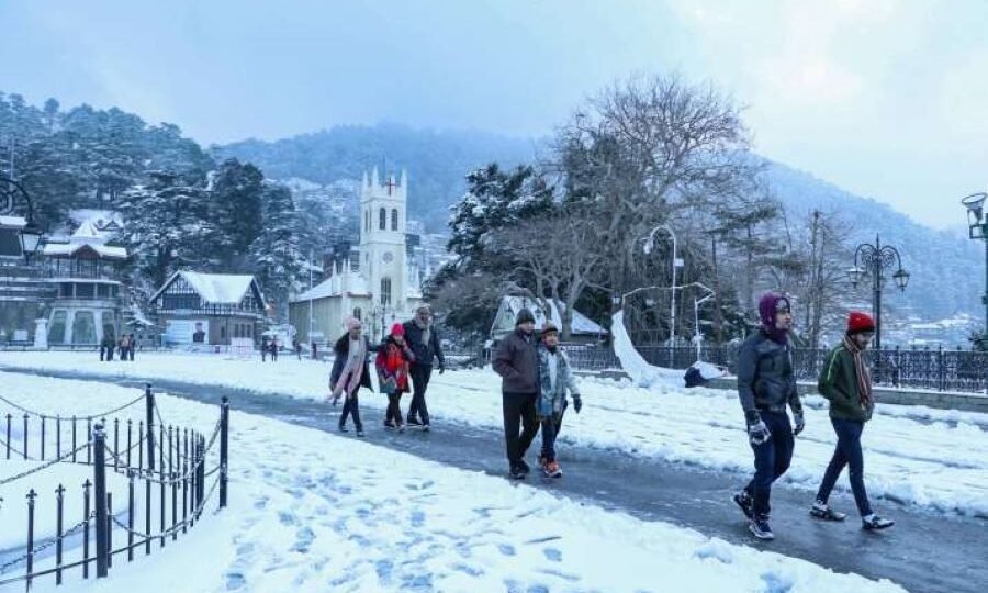 shimla tour package